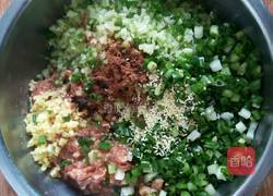 青萝卜猪肉饺子的做法图解5