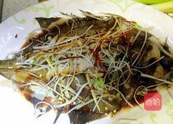 清蒸碟鱼的做法图解10