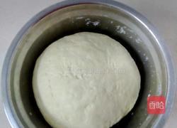 猪肉馅四色饺的做法图解1