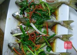 清蒸尼掹鱼的做法图解5
