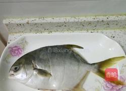 红烧金鲳鱼的做法图解1
