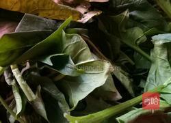 木耳肉丝汤的做法图解1