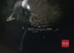 木耳肉丝汤的做法图解4