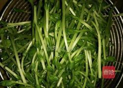 西红柿菌菇豆苗汤的做法图解3