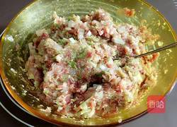 蔬菜皮餃子的做法圖解6