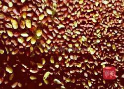 自制牛皮糖的做法图解2