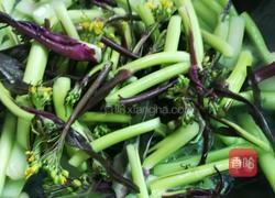 蒜蓉菜心的做法图解6