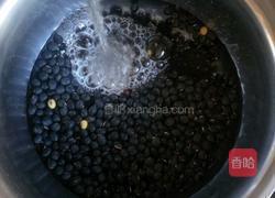 自制豆芽的做法图解3