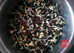 自制豆芽的做法图解15