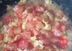 番茄鸡蛋土豆粉的做法图解6