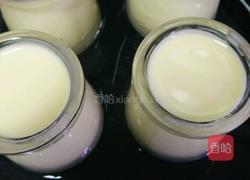 牛奶布丁的做法图解7