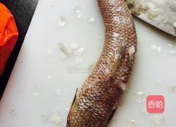 那哥鱼的做法图解1
