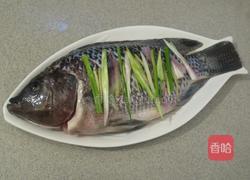清蒸罗非鱼的做法图解3