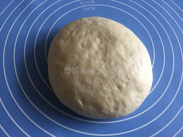 发酵好的面团取出来排气，分割成两份