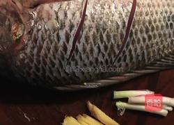 豆豉蒸罗非鱼的做法图解1