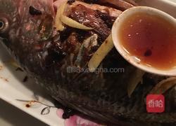 豆豉蒸罗非鱼的做法图解4