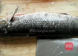 滑溜鱼片的做法图解1