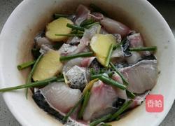 滑溜鱼片的做法图解5