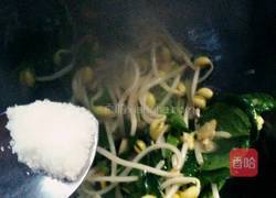 菠菜炒黄豆芽的做法图解7