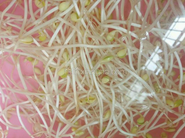 豆芽洗干净沥水。芹菜洗干净切段