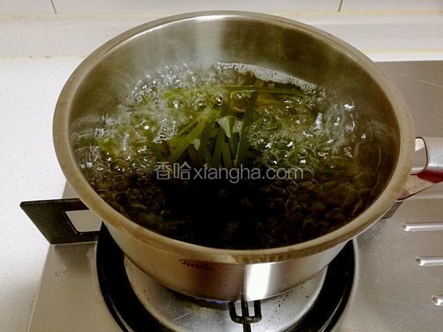 海带丝放入锅中加几滴醋煮熟后捞出。