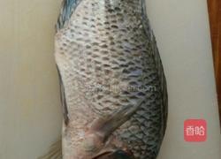 清蒸开屏罗非鱼的做法图解1