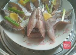 清蒸开屏罗非鱼的做法图解7