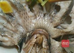 清蒸开屏罗非鱼的做法图解8