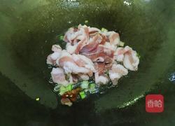 酸菜粉的做法图解4