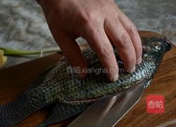 蒸罗非鱼的做法图解2