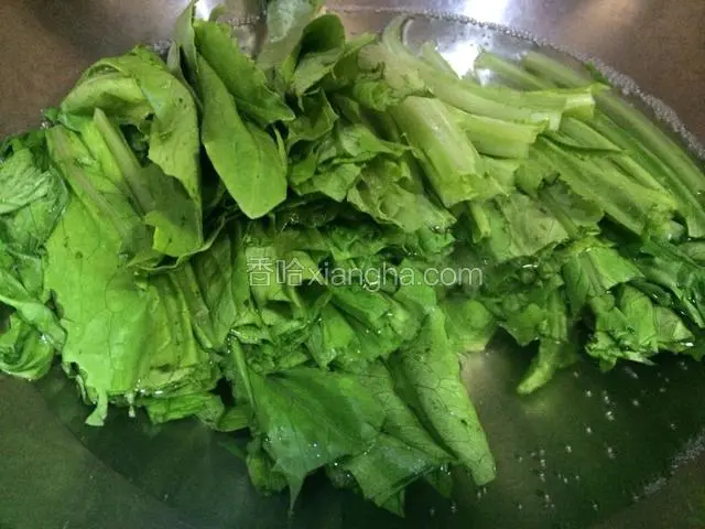 放入油麦菜，焯一分钟