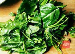 菠菜炒黄豆芽的做法图解1