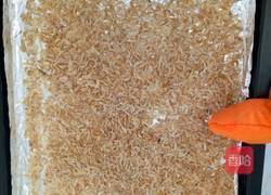 宝宝辅食虾皮粉的做法图解3