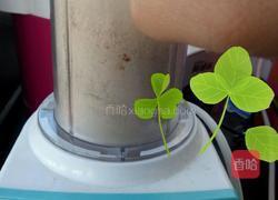 宝宝辅食虾皮粉的做法图解4