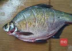 清蒸鳊鱼的做法图解2