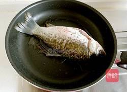 鲫鱼豆腐汤的做法图解3