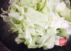 香辣手撕包菜的做法图解2