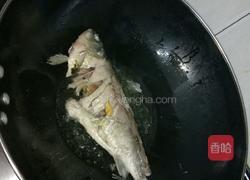 清汤鲫鱼的做法图解6