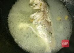 清汤鲫鱼的做法图解9