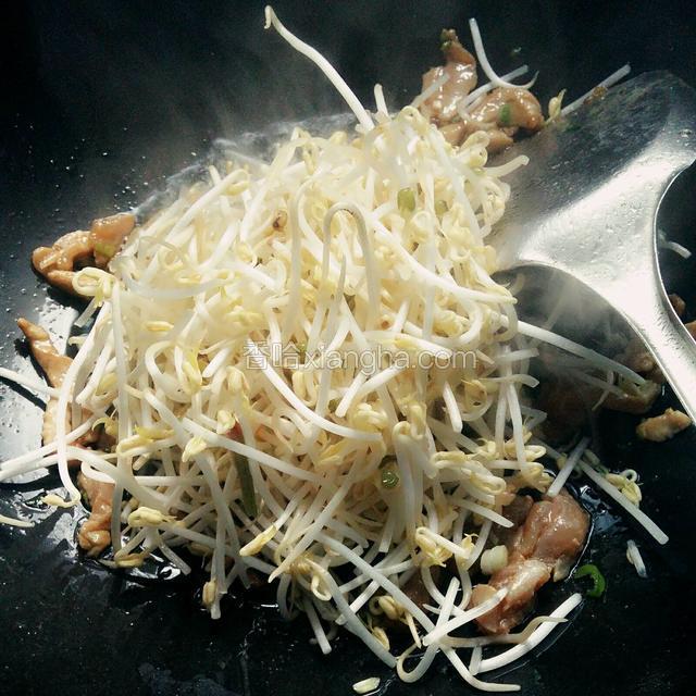 放进洗好控干的绿豆芽