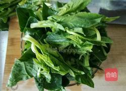 麻酱红掌拨清波的做法图解2