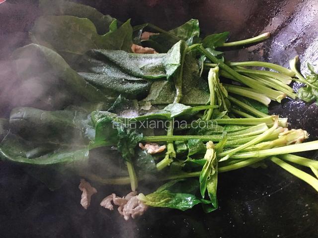 再放入菠菜，撒上适量的盐。菠菜最好是提前去掉一遍水减少草酸（我嫌麻烦没有做）