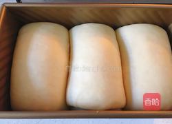 中种吐司的做法图解16