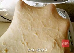 金钱小面包的做法图解5