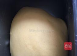 胡萝卜小面包的做法图解7