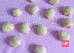 胡萝卜小面包的做法图解8