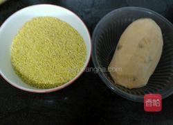 红薯小米粥的做法图解1