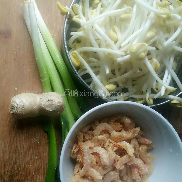 洗干净豆芽，葱姜，干虾仁