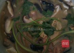 焖鸡肉的做法图解9