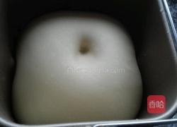 杏仁肉松小土司的做法图解4